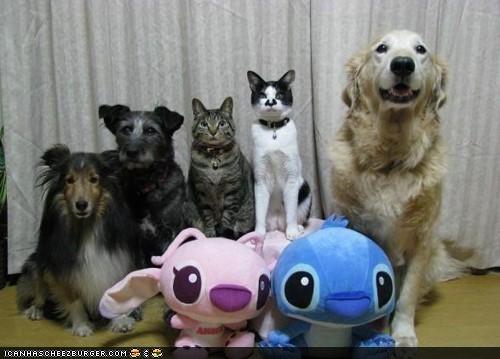 animal family portrait