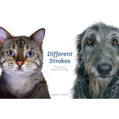 differentstrokesimage