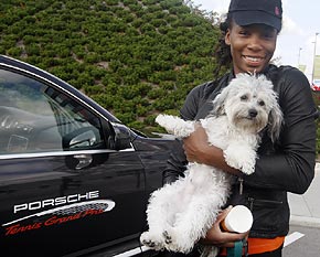 Venusinstuttgartwithterrierharold