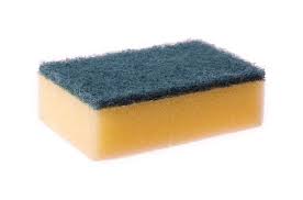 sponge