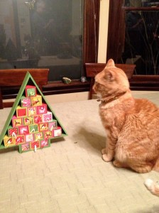 What took you so long?