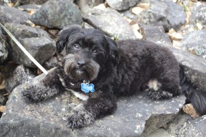 Harbinger of change.