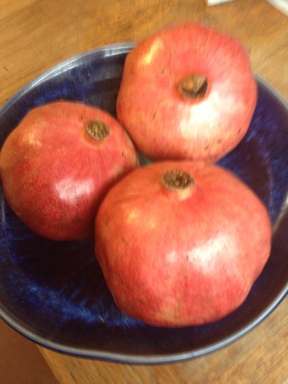 The possibilities are endless.